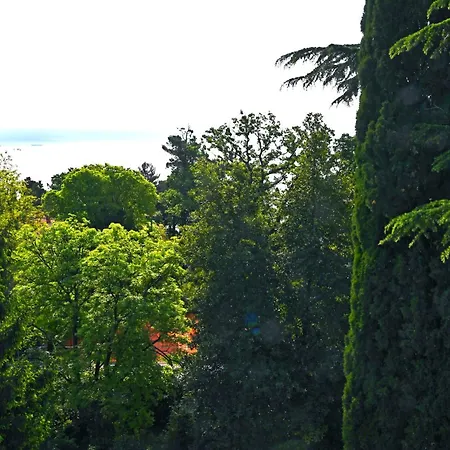 With A View